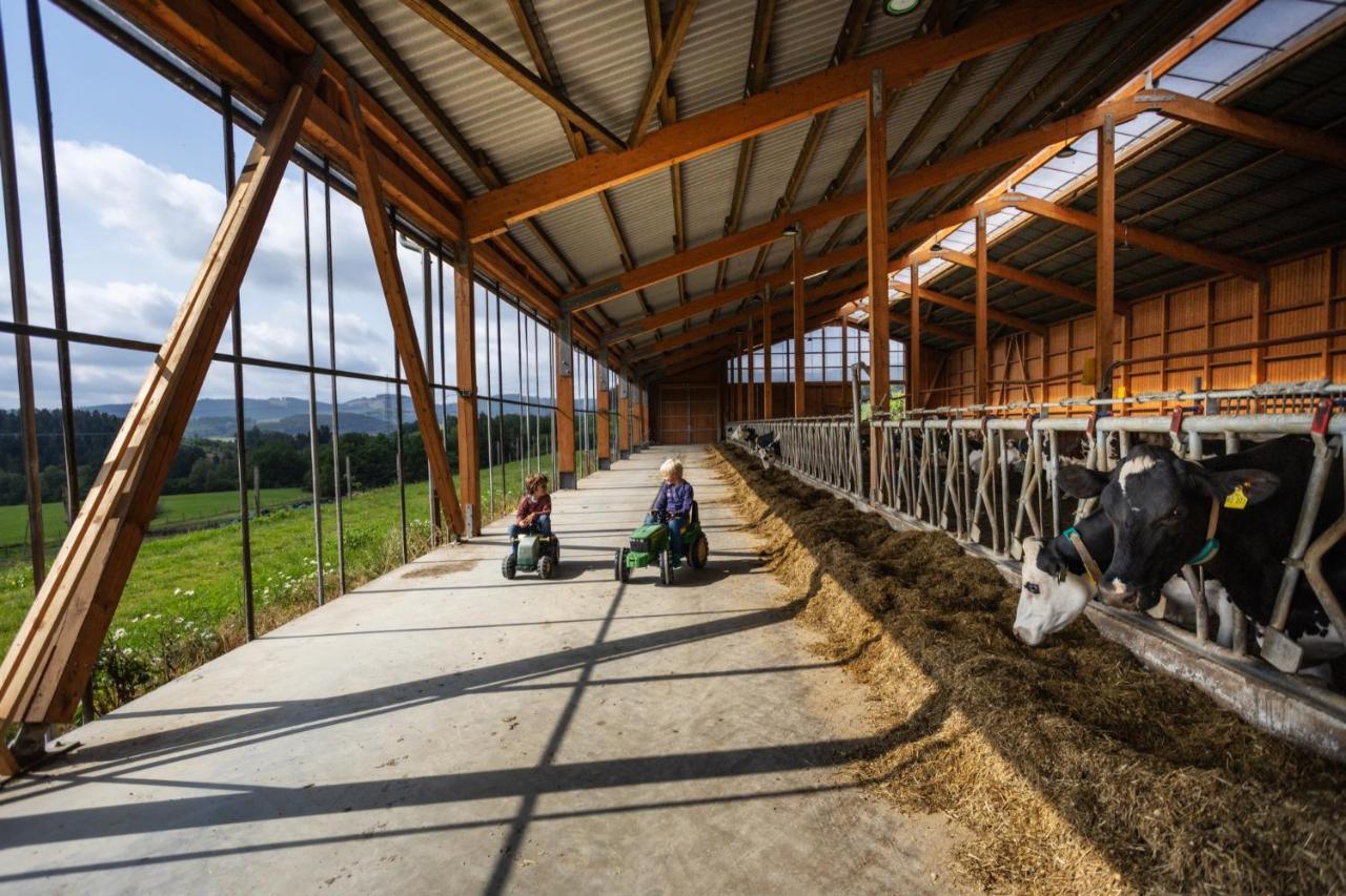 Hof Keppel, Der Stromlose Urlaub Fue Schmallenberg Esterno foto